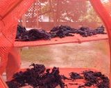 梅干しの副産物でゆかり〜作り方1写真