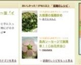 大根葉の塩麹炒め作り方6写真