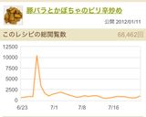 豚バラとかぼちゃのピリ辛炒め作り方12写真