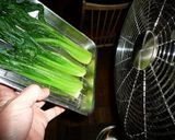 小松菜（青菜）のおひたし　京都カフェ作り方6写真