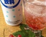 レッドカラントのサワードリンク作り方8写真