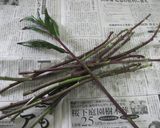 ネバネバヘルシー♪金時草の納豆和え作り方1写真