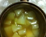簡単冷たいトロトロ冬瓜煮作り方5写真
