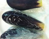 ナスの中華風蒸しびたし作り方4写真