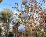 合わせ味噌美味しい★柚餅子（ゆべし）作り方7写真
