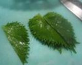 生たまねぎのすり下ろしと梅和え豚しゃぶ作り方4写真