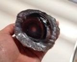 マグロの目玉の韓国風煮込み作り方1写真
