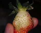 フェイリスニャンニャンのオムライス作り方3写真