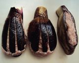 ナスの肉詰め★粉なしでもはがれない！作り方8写真
