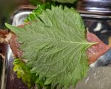 梅しそ香る豚ヒレさっぱりフライ・さっぱり三味作り方4写真