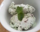 チョコミントアイスクリーム作り方6写真