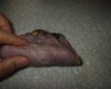 赤ワインとレーズンのパン作り方9写真