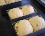 チョコチップ入りカフェオレパン作り方5写真