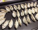 野菜たっぷり餃子作り方6写真