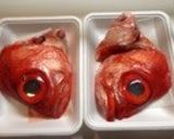 薄味♪金目鯛アラの煮付け(かぶと煮)作り方1写真