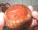 しいたけのチーズ焼き・醤油味作り方1写真