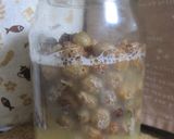 初めてのレーズン酵母♪　2012年夏作り方8写真