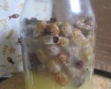 初めてのレーズン酵母♪　2012年夏作り方9写真