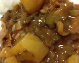 ゴーヤカレーだぁ！作り方5写真