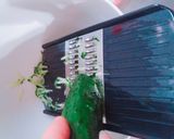 ＊稲荷揚げと胡瓜とかにかまの春雨サラダ＊作り方2写真