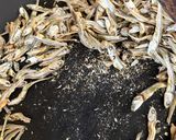 サクサク食べれる小魚　おやつ、副菜にも◎作り方3写真