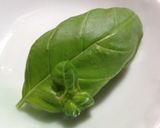 のせて焼くだけ！朝食パン♪作り方1写真