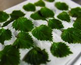 しそのキムチ漬け作り方1写真