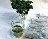 大量パセリはレンチンで乾燥保存✨作り方8写真