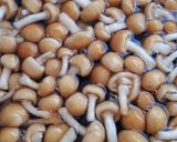 わが家の定番☆なめこと豆腐の味噌汁作り方3写真