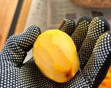 ピーラーで剥く干し柿の作り方作り方5写真