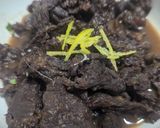 やす子さんに教わった鯨肉の佃煮作り方11写真