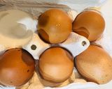 豪華な具材フレッシュバジルでジェノベーゼ作り方12写真