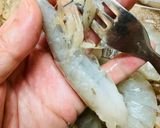 タコの海岸物語🐟🐙🍤🤣😂🤣😂作り方1写真