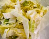 白菜とツナの春雨サラダ作り方1写真