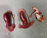 貧血予防にも！砂肝のスタミナ炒め作り方1写真