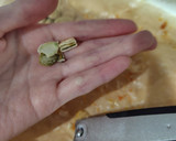 レンジで簡単！かぼちゃの種作り方6写真