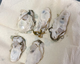 生牡蠣の下処理♪生牡蠣きゅうりポン酢和え作り方3写真
