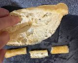 簡単!(基本の)油揚げハムチーズ焼き作り方3写真