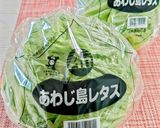 レタスの塩ツナサラダ作り方1写真