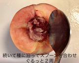 桃の種取りと変色させない方法作り方4写真