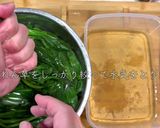黄金比！極UMAほうれん草のおひたし作り方5写真