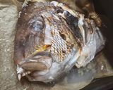 土鍋で鯛めし③(笑)作り方6写真