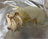 鮭のホイル焼き作り方1写真