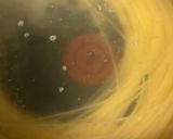 柚子香る活毛蟹の冷製蟹味噌クリームパスタ作り方11写真