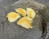 美活⭐︎手羽先と牛蒡とカブのスープ作り方7写真