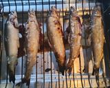 鮎ごはん作り方8写真