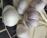 にんにく味噌　スティック野菜にピッタリ作り方1写真