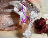 魚料理・おもてなし主菜★チコ鯛のアクアパッツァ作り方2写真