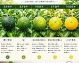 酢橘の寒天ゼリー作り方2写真
