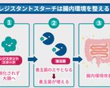 ナスと鶏ひき肉の和風パスタ作り方44写真